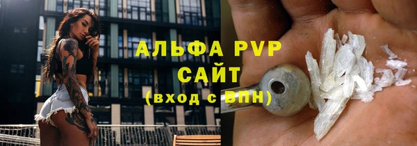 дживик Белокуриха