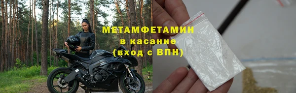 прущие грибы Медвежьегорск
