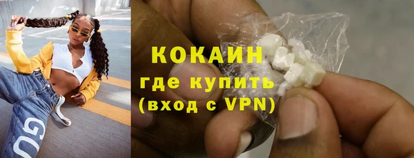 дживик Белокуриха
