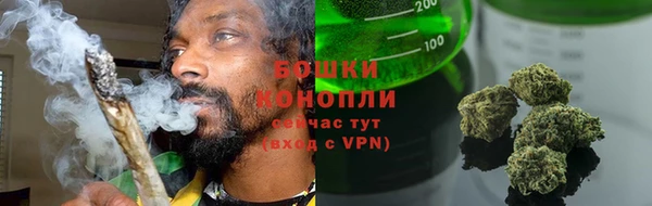 дживик Белокуриха