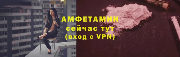 ГАЛЛЮЦИНОГЕННЫЕ ГРИБЫ Беломорск