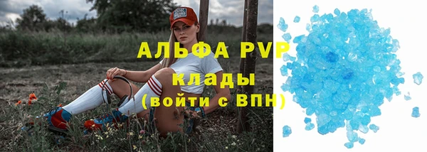 дживик Белокуриха